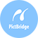 ӡģʽPictBridge