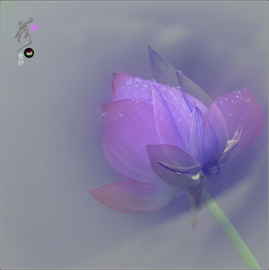 ˮ2014֮ϵƬ