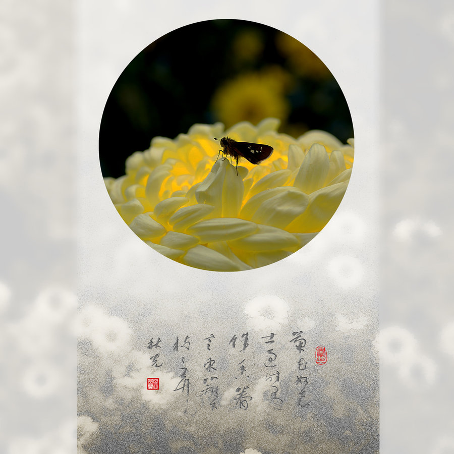 Ⱦջ